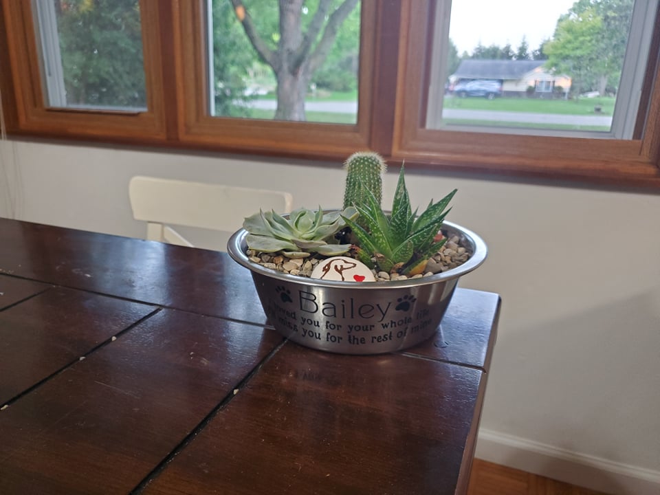 Pet Bowl Memorial Cricut Vinyl