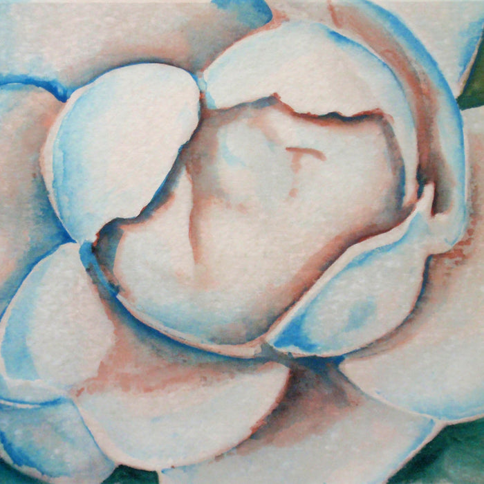 Nature Close-Ups: Easy Watercolor Paint Project