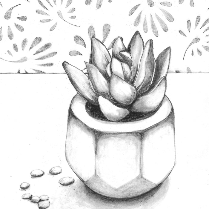 Succulent Sketch: How to Draw with a Photo Reference